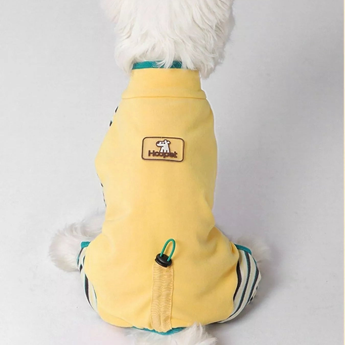 Dog wearing a yellow coat with a brand logo on a light gray background