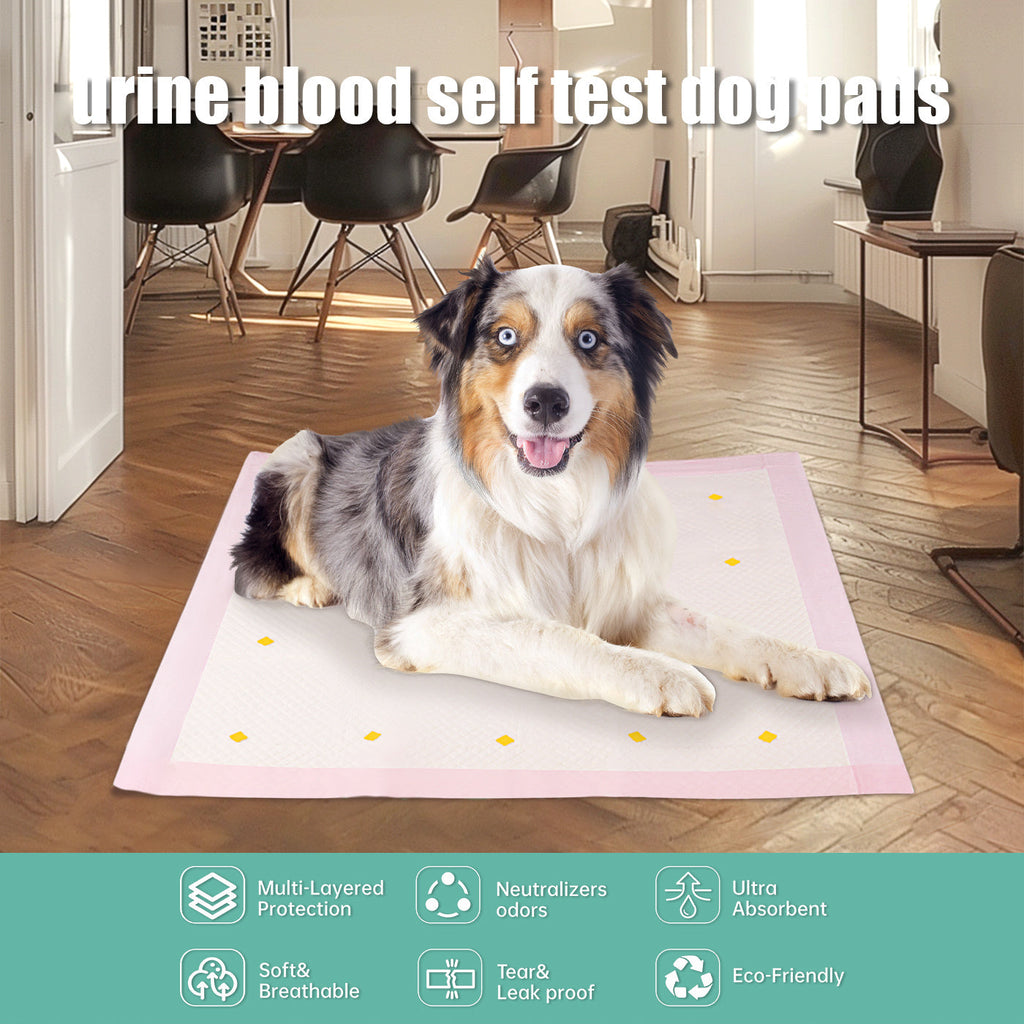 Dog lying on a urine blood self-test dog pad in a home setting