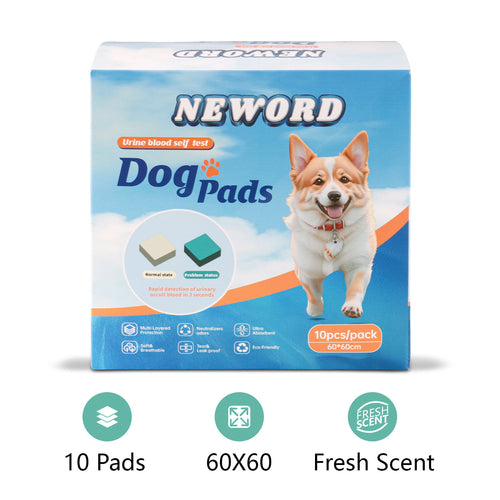 Box of Neword Dog Pads with a dog on the packaging