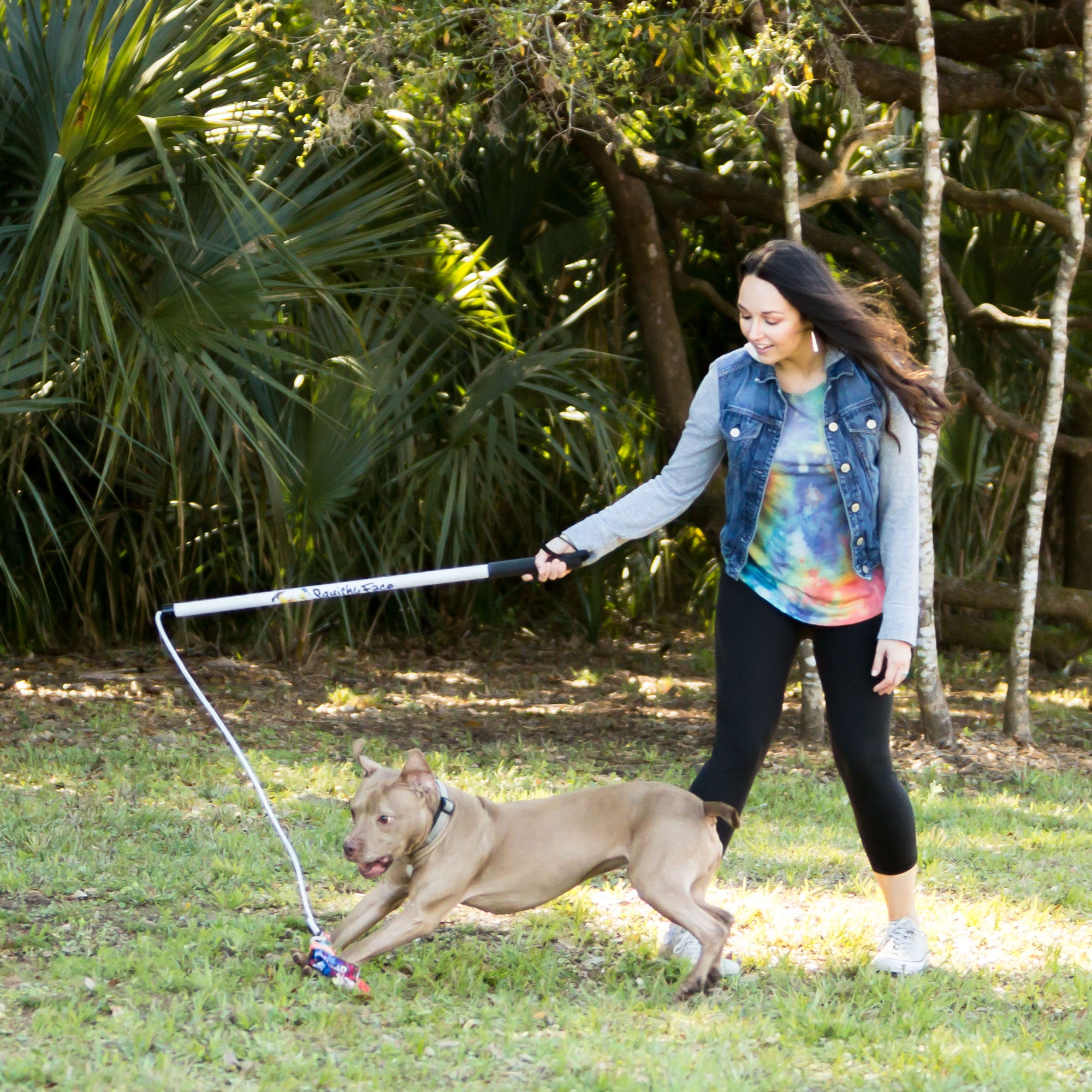 Flirt Pole V2 – Dog Exercise & Training Toy with Bungee Cord Lure