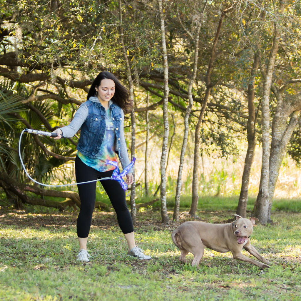 Flirt Pole V2 – Dog Exercise & Training Toy with Bungee Cord Lure