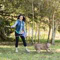 Flirt Pole V2 – Dog Exercise & Training Toy with Bungee Cord Lure