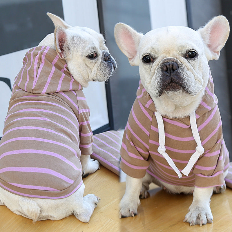 Two French Bulldogs wearing brown and pink striped sweaters on a wooden floor.