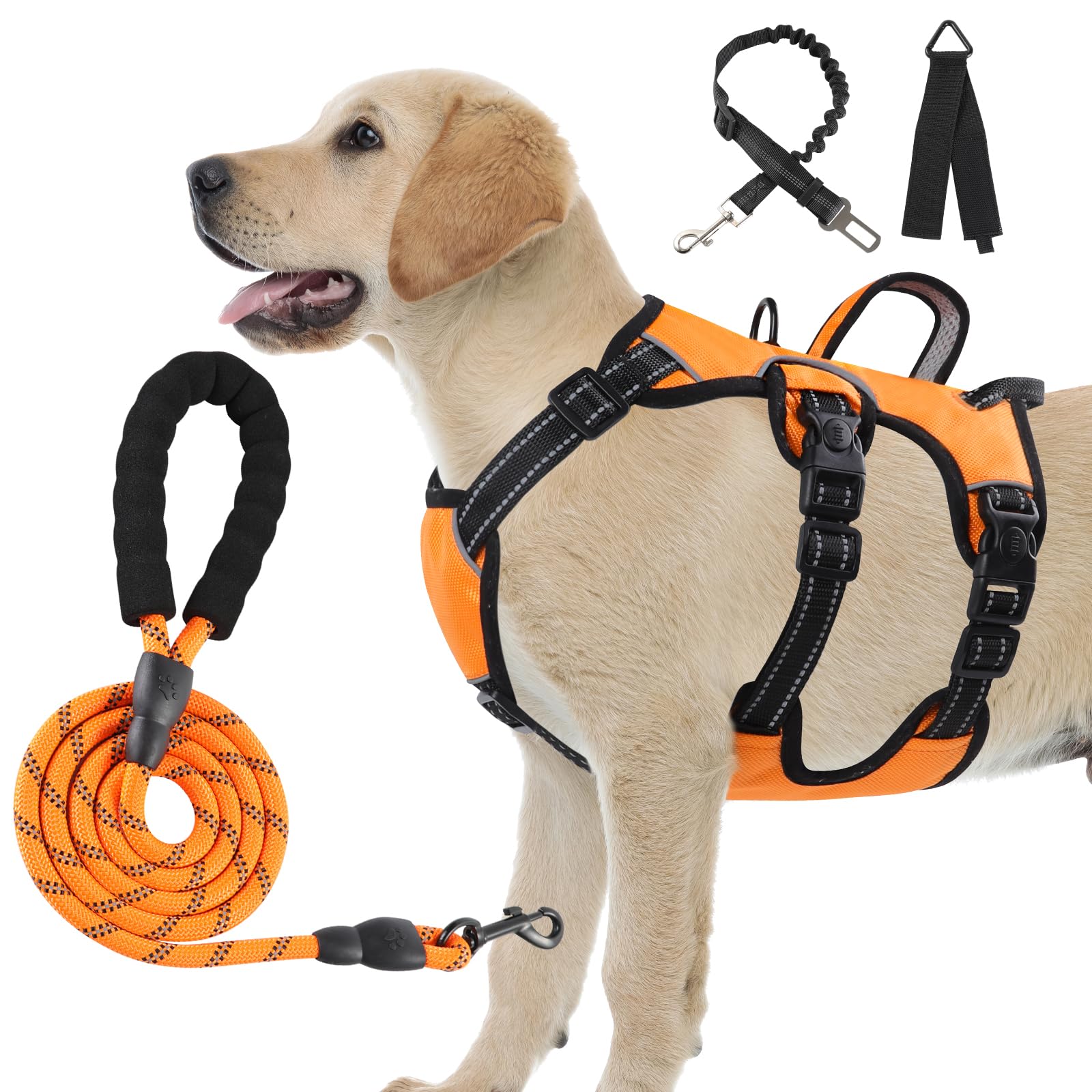 Dog wearing an orange harness with black straps, standing next to a leash and two additional straps on a white background.