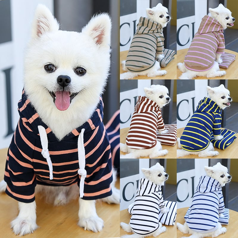 Dog wearing a striped hoodie with multiple views of the same dog in different outfits.