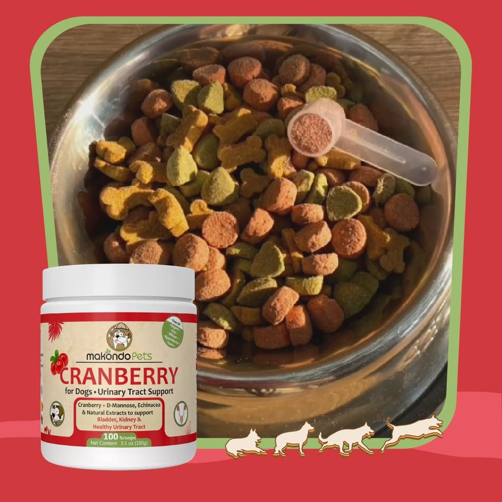Bowl of dog food with a container of Makanin's Cranberry supplement on a red background