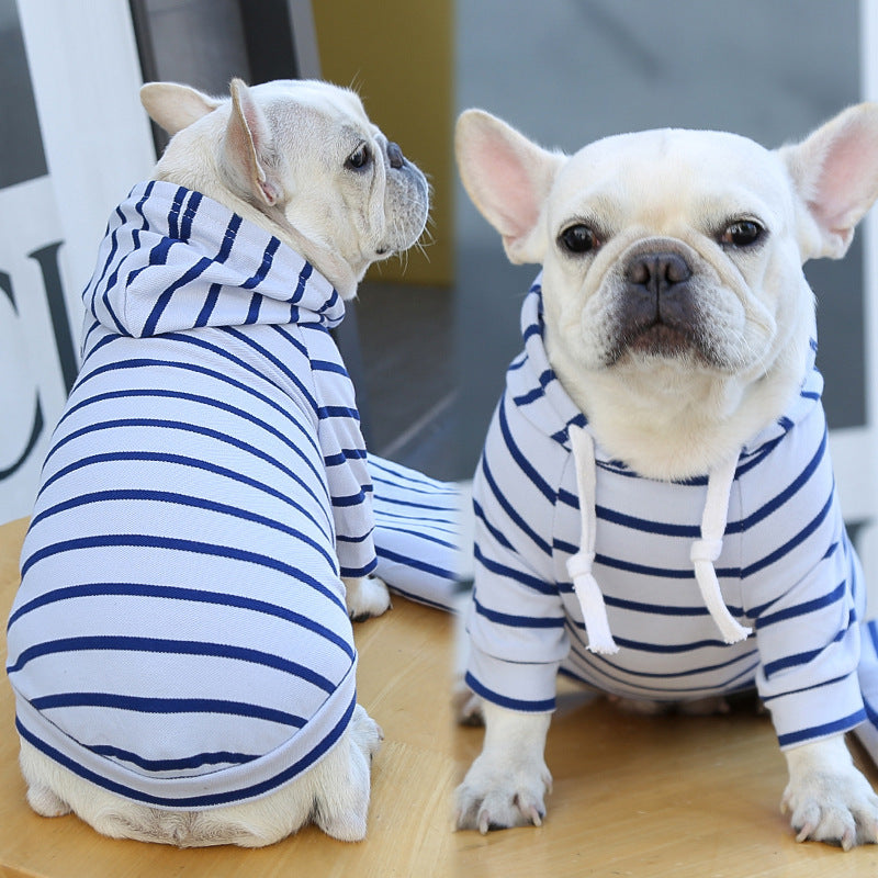 Two dogs wearing blue and white striped hoodies on a wooden floor.