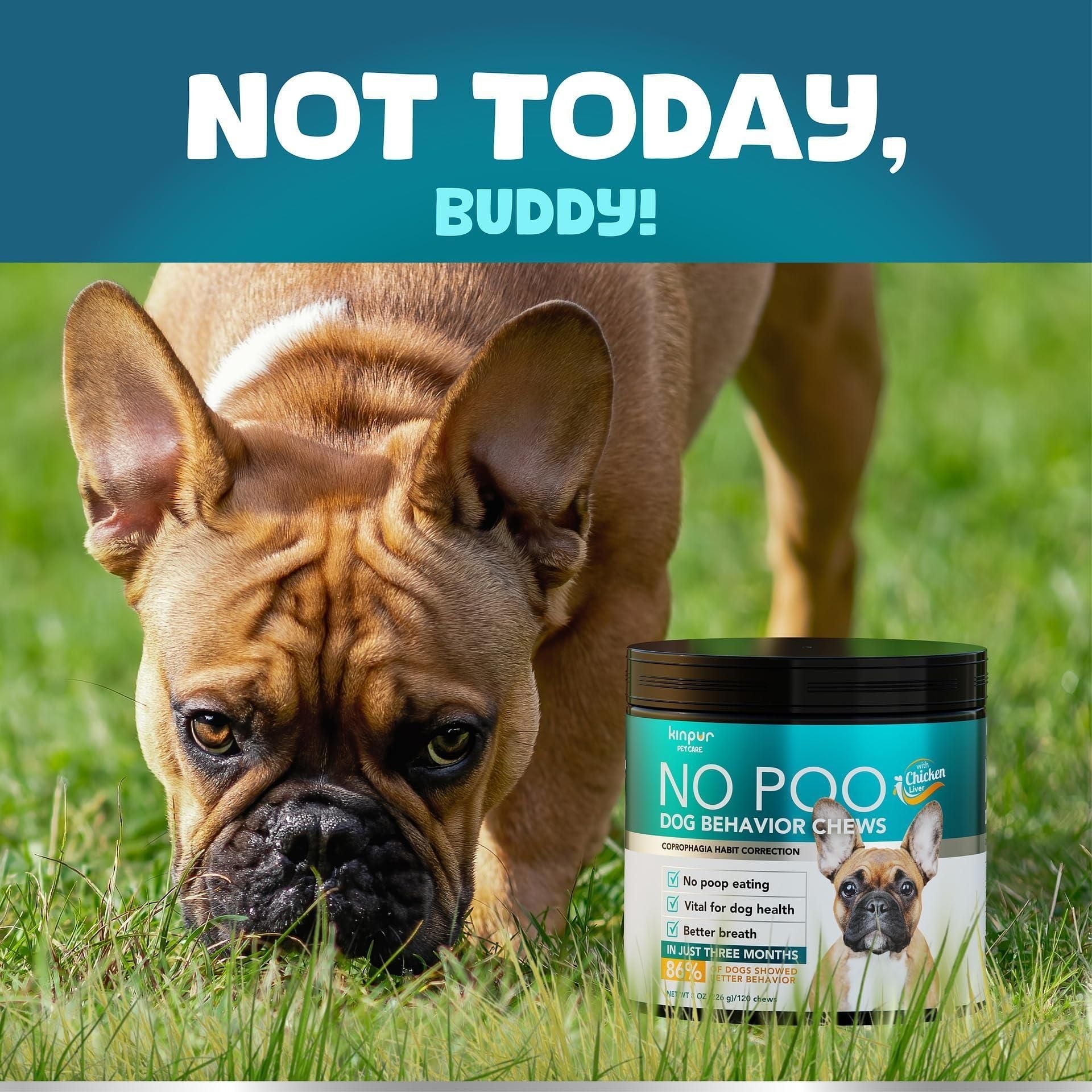 Dog in grass with 'NO POO' dog behavior chews container, text 'NOT TODAY, BUDDY!' at top