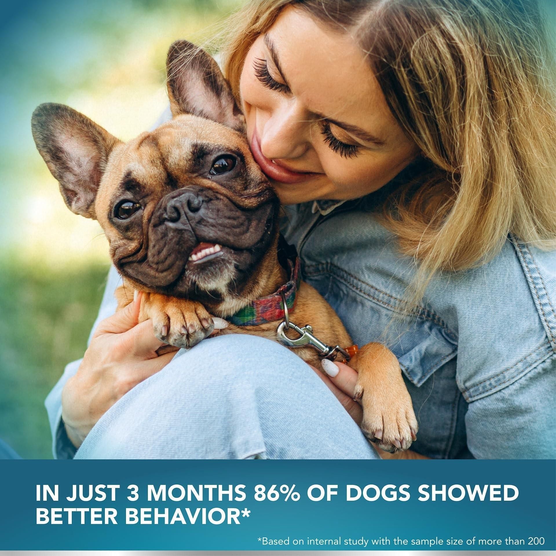 Woman holding a dog with text about dog behavior improvement