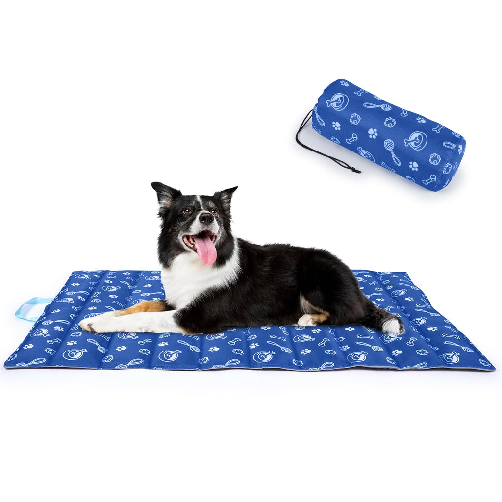Dog lying on a blue pet mat with a matching carrying case on a white background