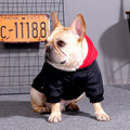 Dog wearing a black and red outfit with a license plate in the background