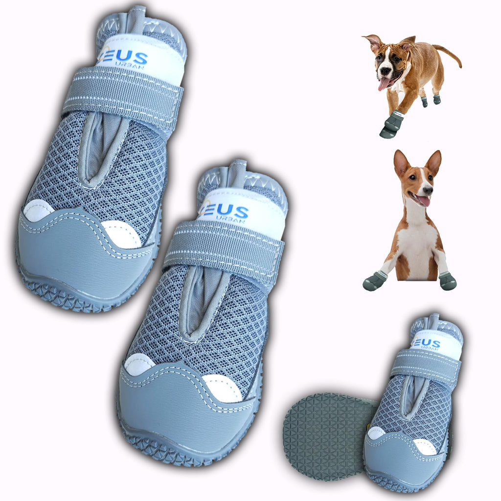 Blue pet shoes with brand name on a white background, accompanied by small images of dogs wearing the shoes.