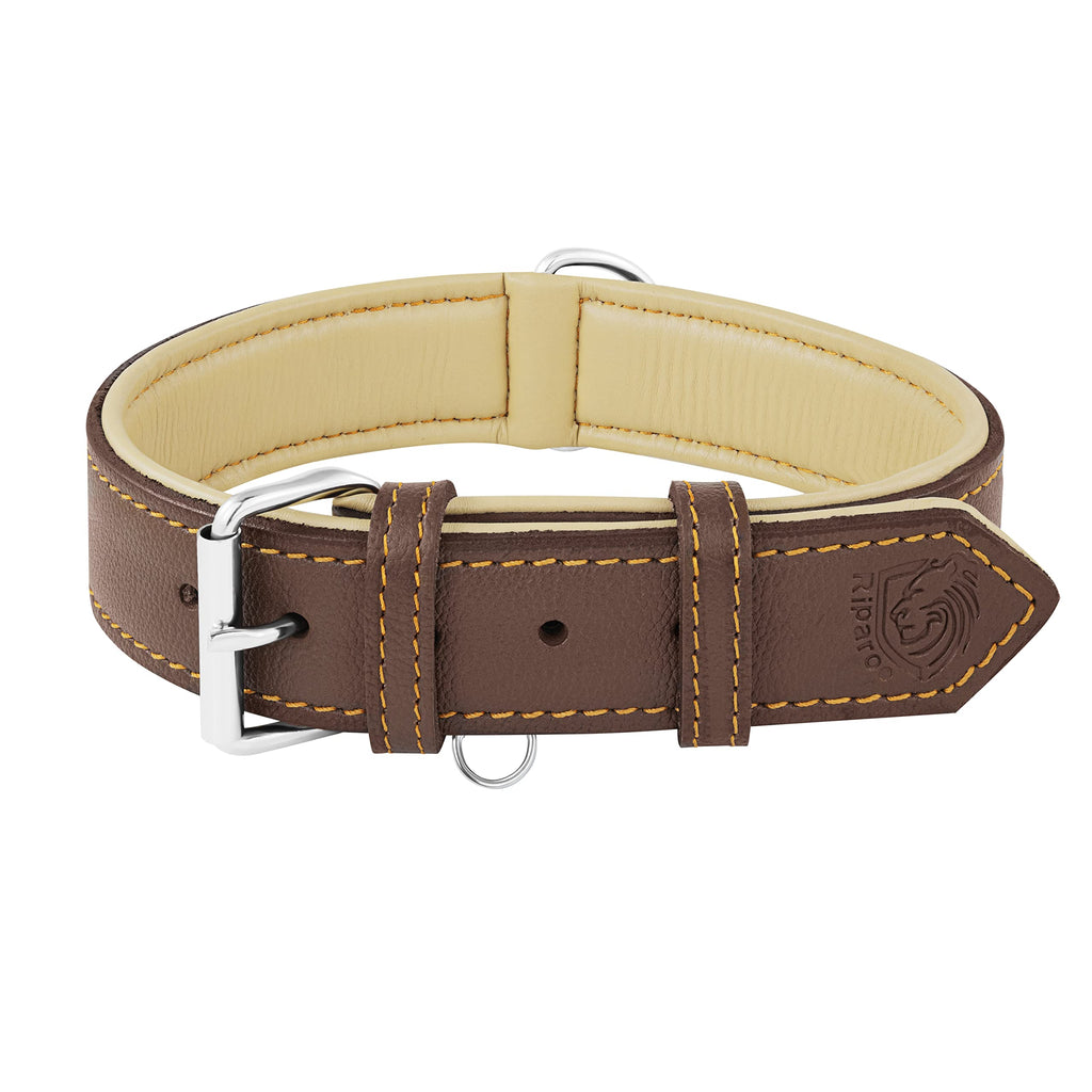 Brown leather dog collar with beige interior on a white background