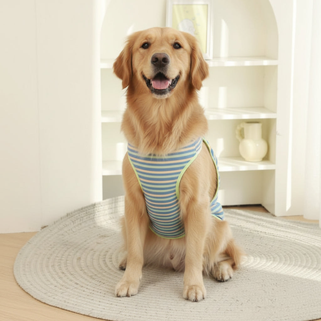Striped Dog Physiological Pants – Pet Period & Heat Protection Suit