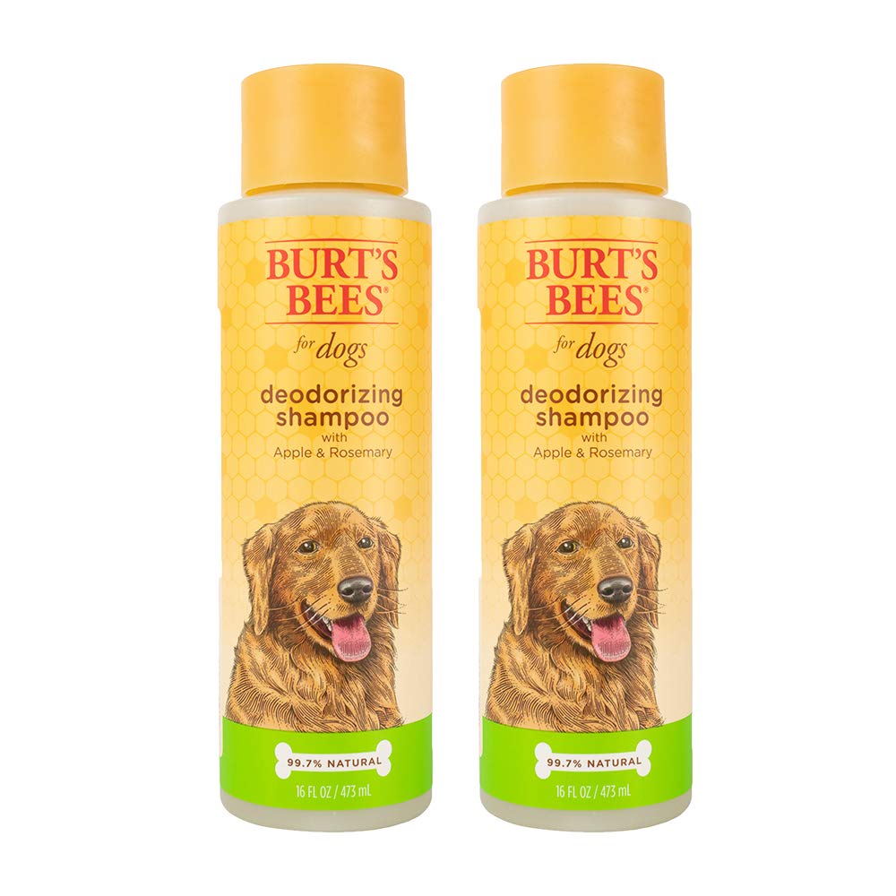 Two bottles of Burt's Bees deodorizing shampoo for dogs on a white background