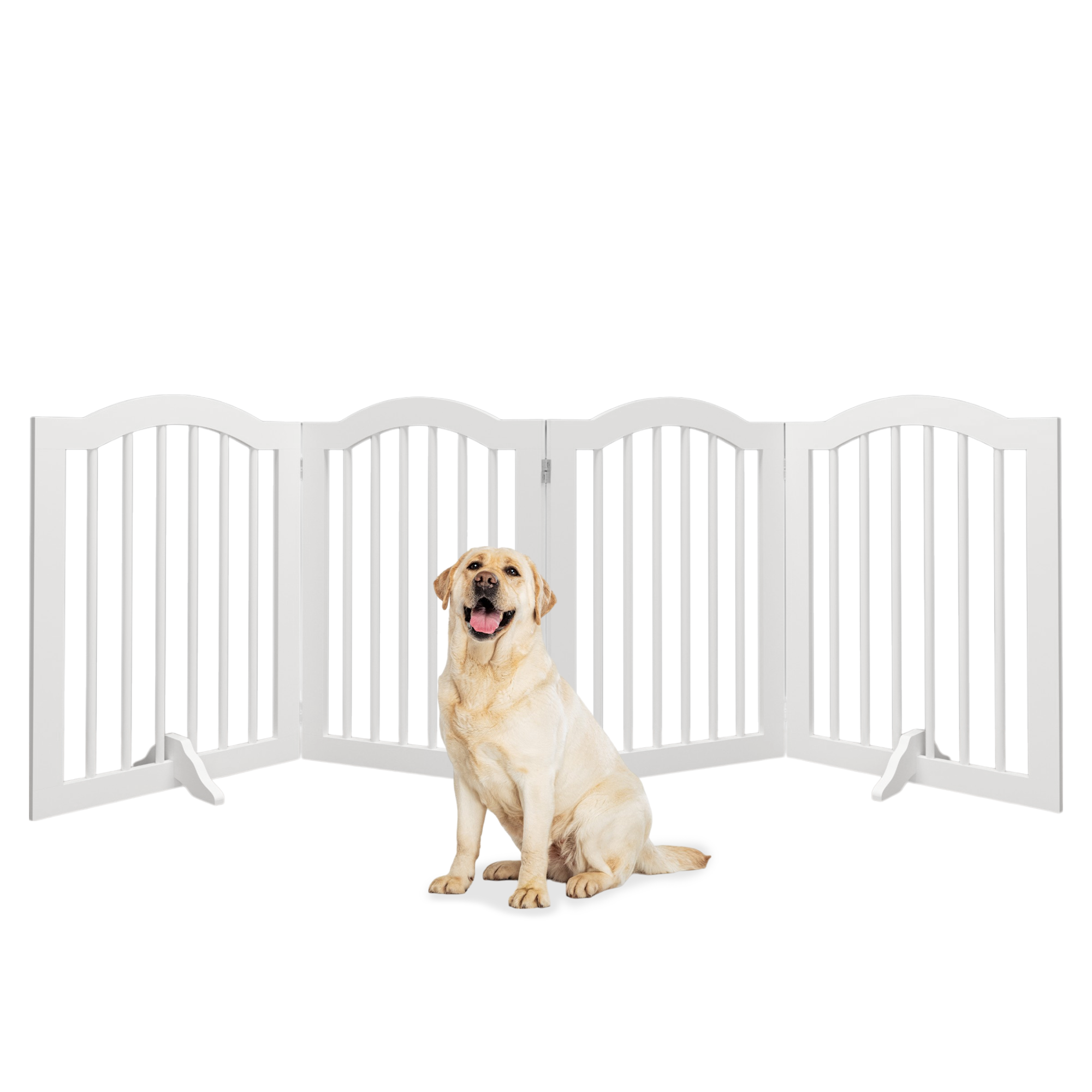 Dog sitting behind a white pet gate on a white background