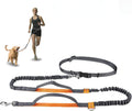 Hands-Free Retractable Dog Leash with Dual Bungees & Waist Belt