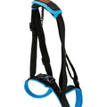Black and blue climbing harness on a white background