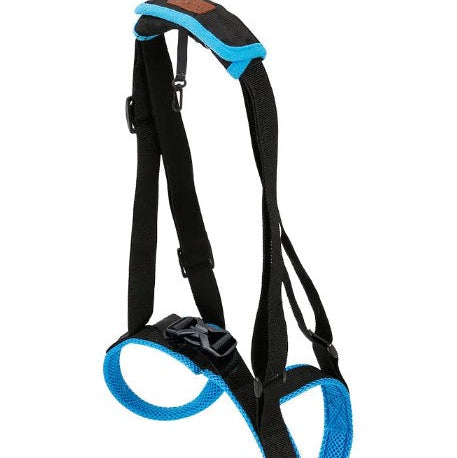 Black and blue climbing harness on a white background