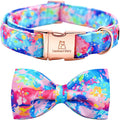 Colorful dog collar and bow tie set with 'Lionheart Glory' branding on a white background.