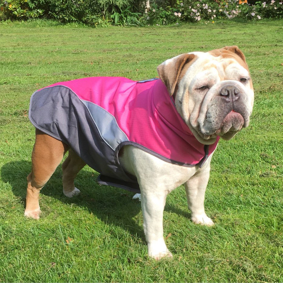 Waterproof Dog Raincoat – Insulated Outdoor Jacket