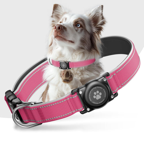 Dog wearing a pink collar with a black device on a white background