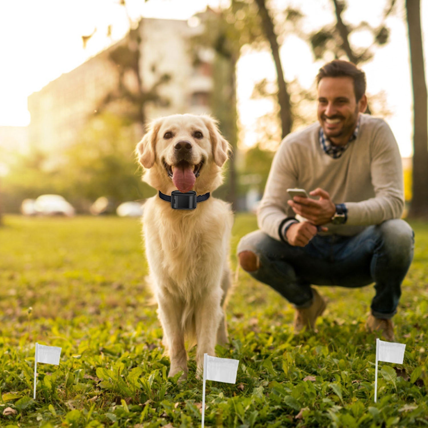 Man with a dog in a park, both looking at a phone