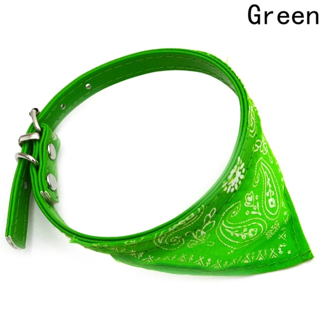 Green bandana-style collar with paisley pattern on a white background