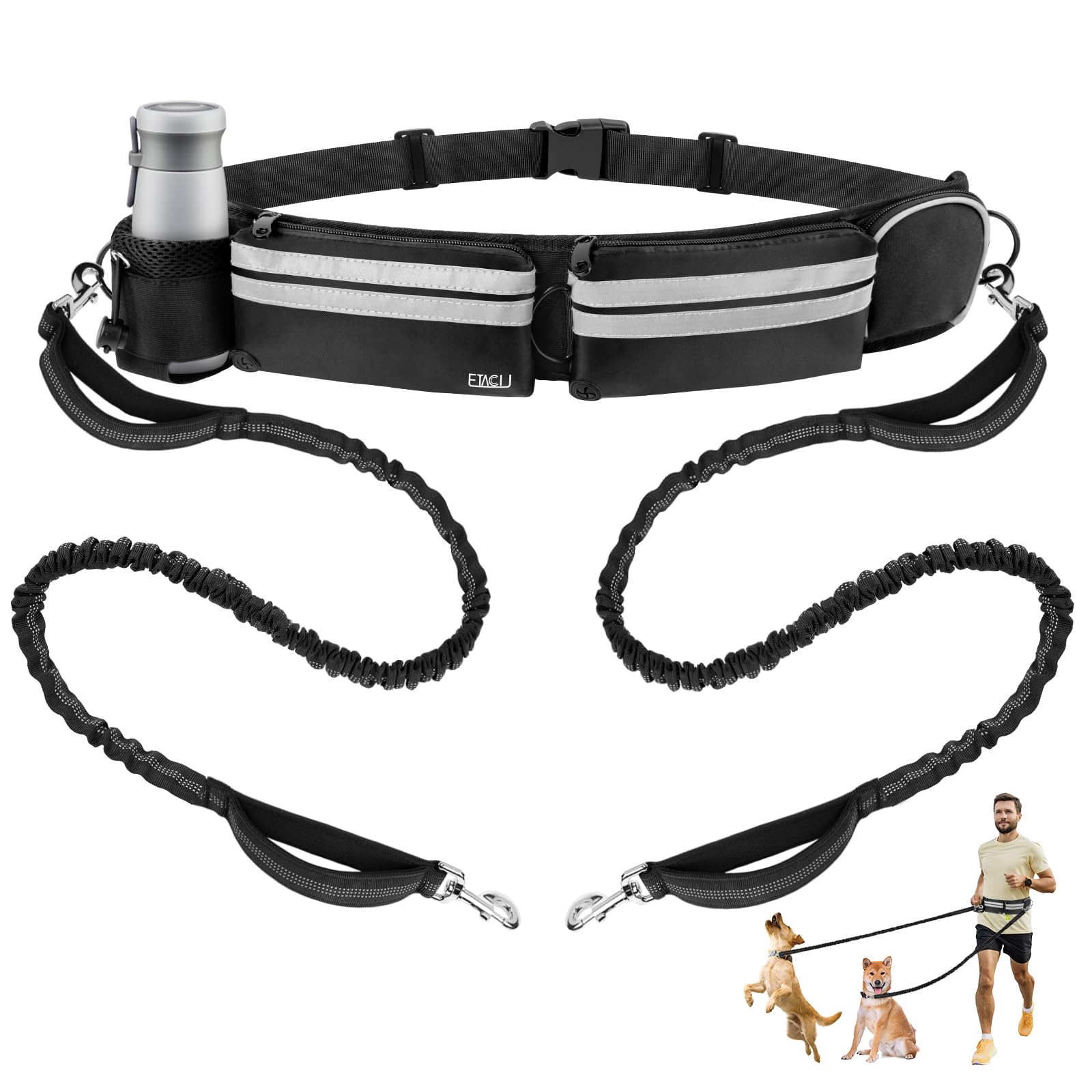 Dog walking belt with two bungee leashes on a white background