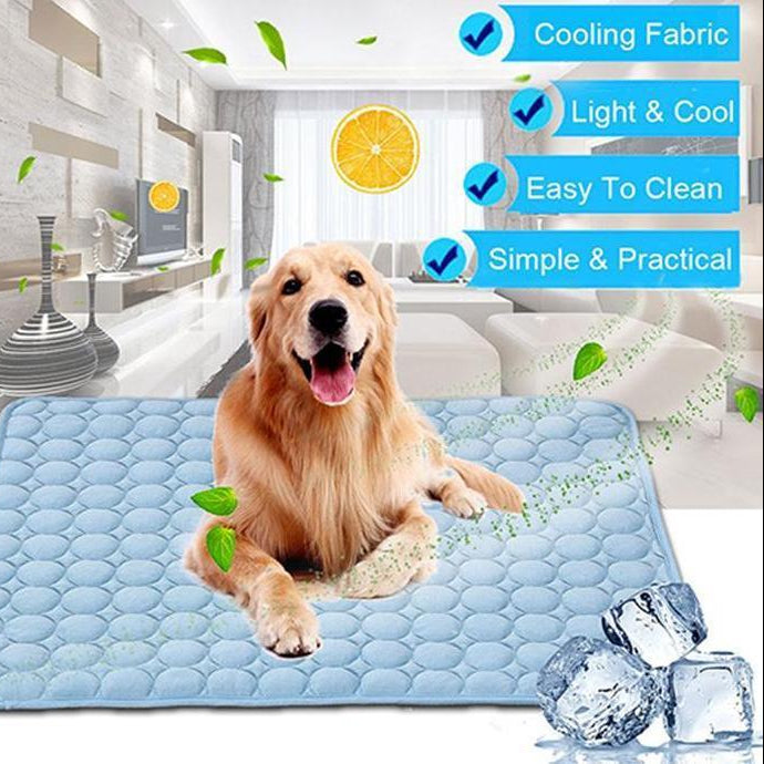 Dog lying on a cooling pad with features highlighted in blue boxes.