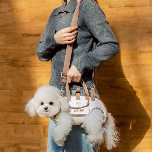 Person holding a small dog in a pet carrier with a wooden background