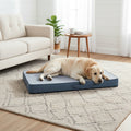 Dog lying on a blue pet bed with 'WEVEGO' branding on a white background