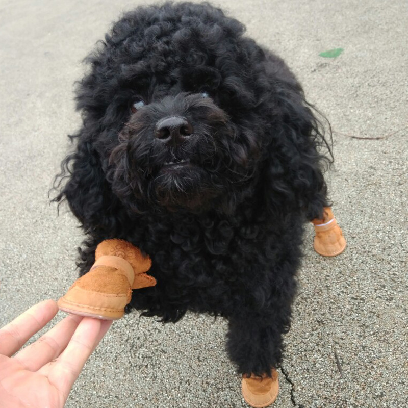 Soft Cotton Pet Boots – Non-Slip Winter Shoes for Dogs & Cats