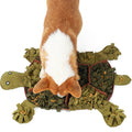 Dog paw interacting with a green turtle-shaped toy on a white background