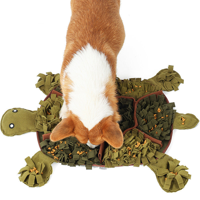 Dog paw interacting with a green turtle-shaped toy on a white background