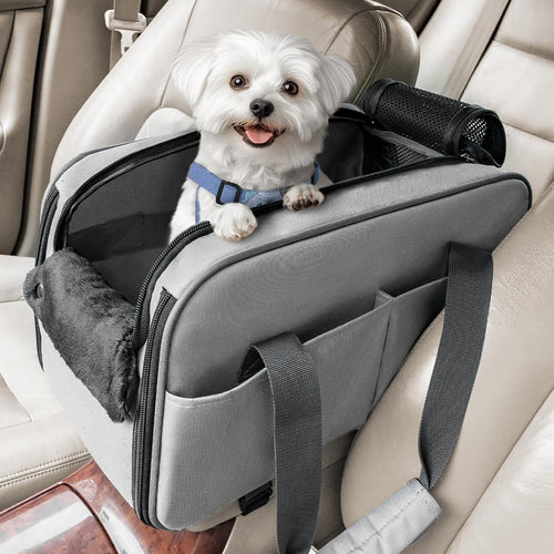 Small white dog sitting in a car seat cover with a blue harness.