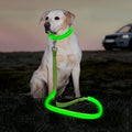 Dog wearing a green LED collar and leash sitting on grass with a car in the background.