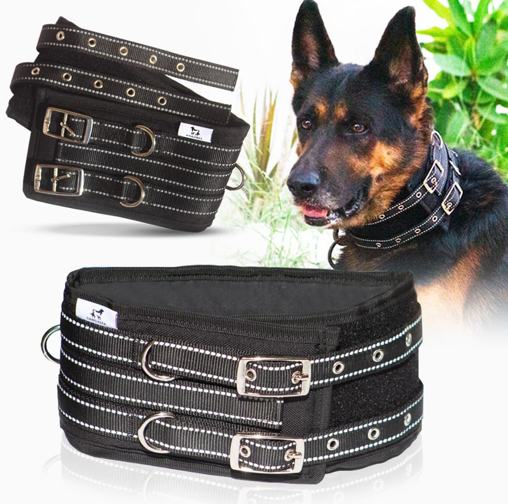 Black dog harness with metal buckles displayed with a dog in the background