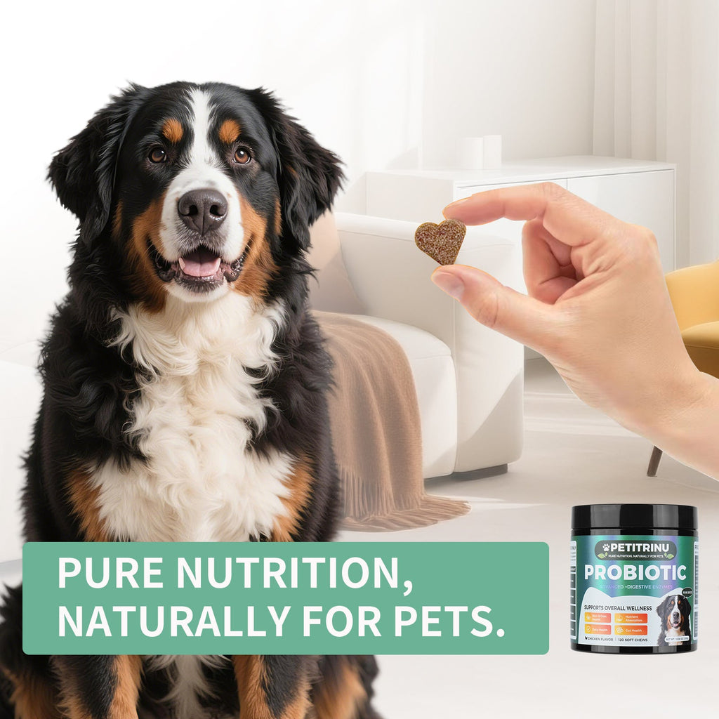 Dog Probiotic & Digestive Enzymes Supplement – 120 Soft Chews for Gut Health