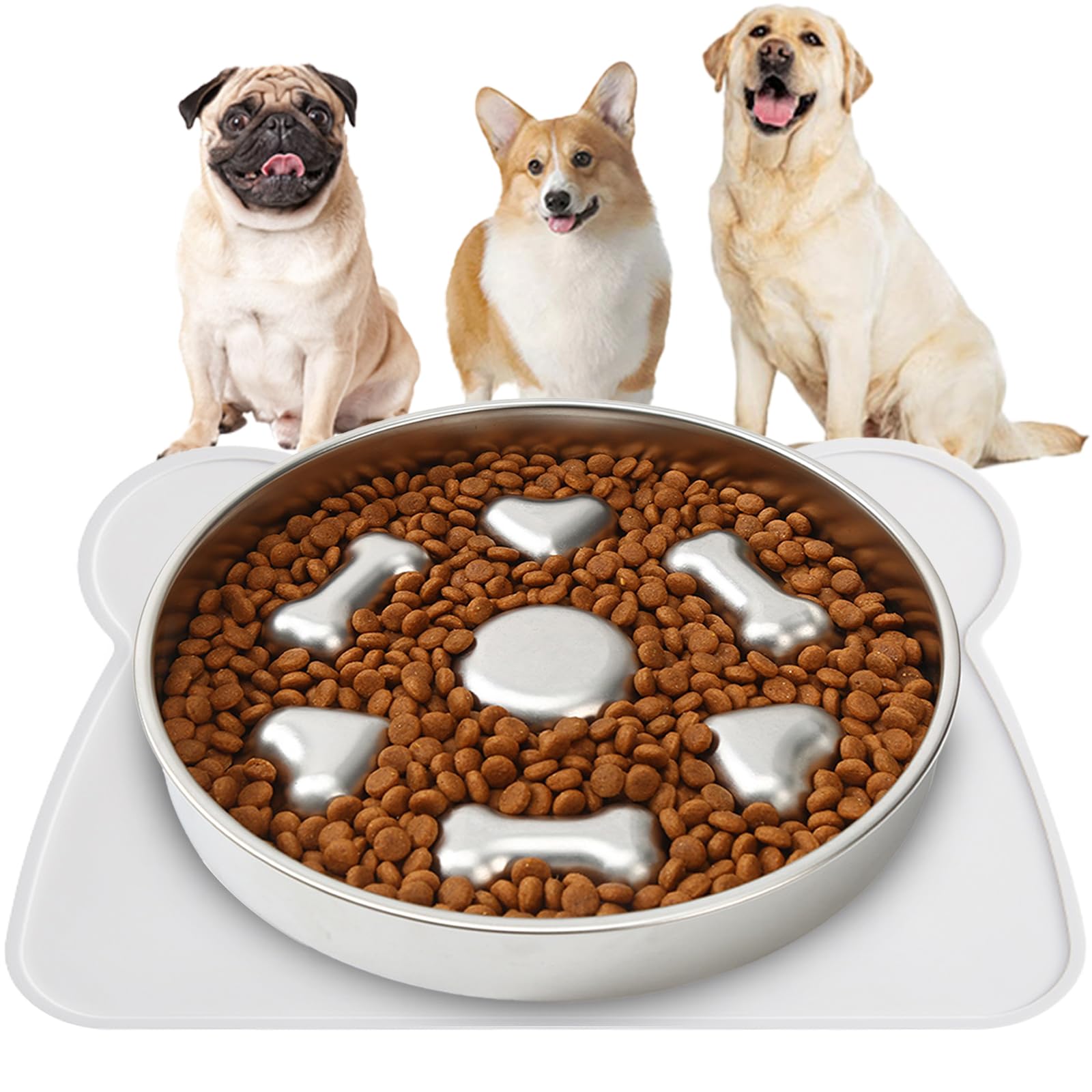 Pet food bowl with dog food and bone-shaped holes, surrounded by three dogs on a white background