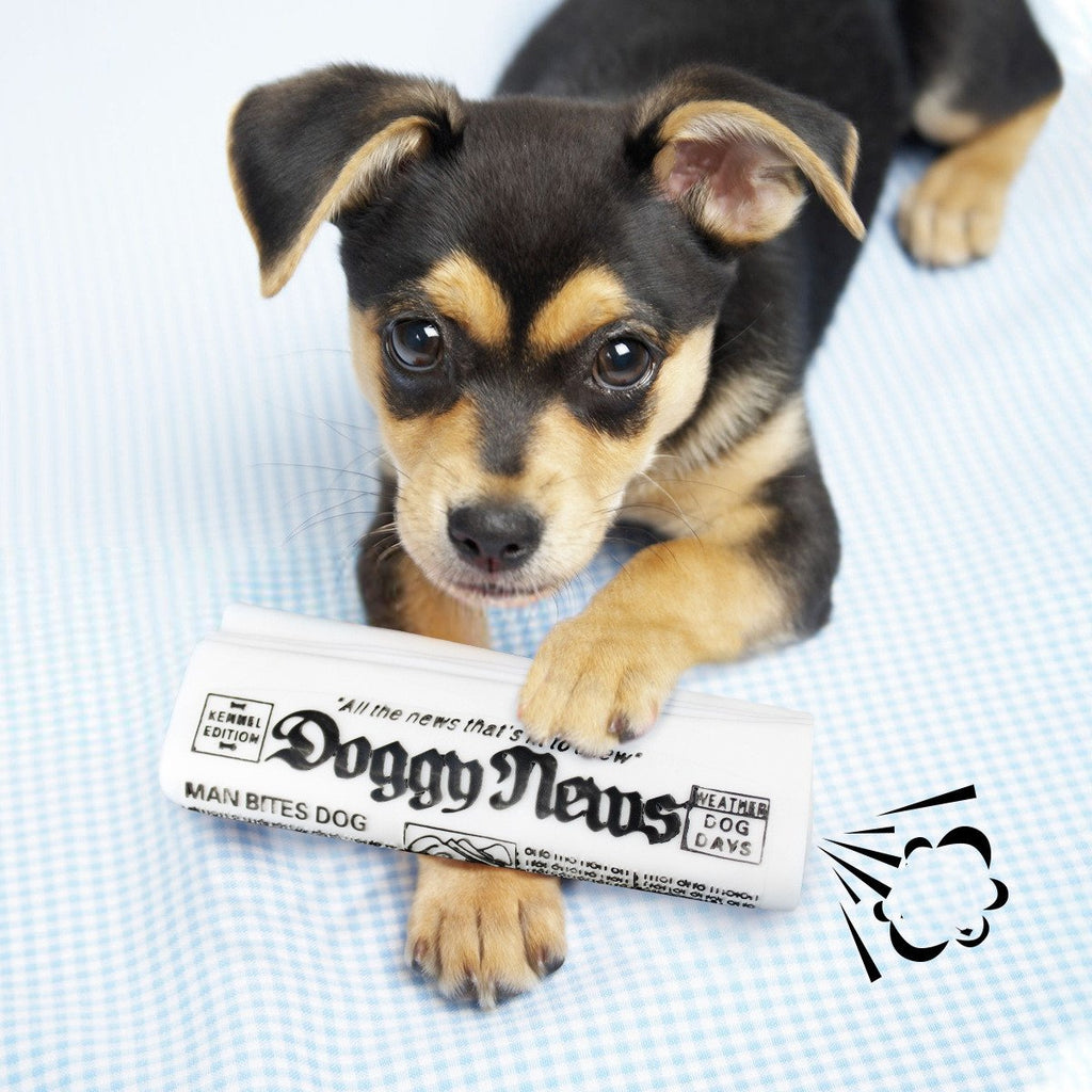 Squeaky Newspaper Dog Chew Toy – Canvas Training Toy