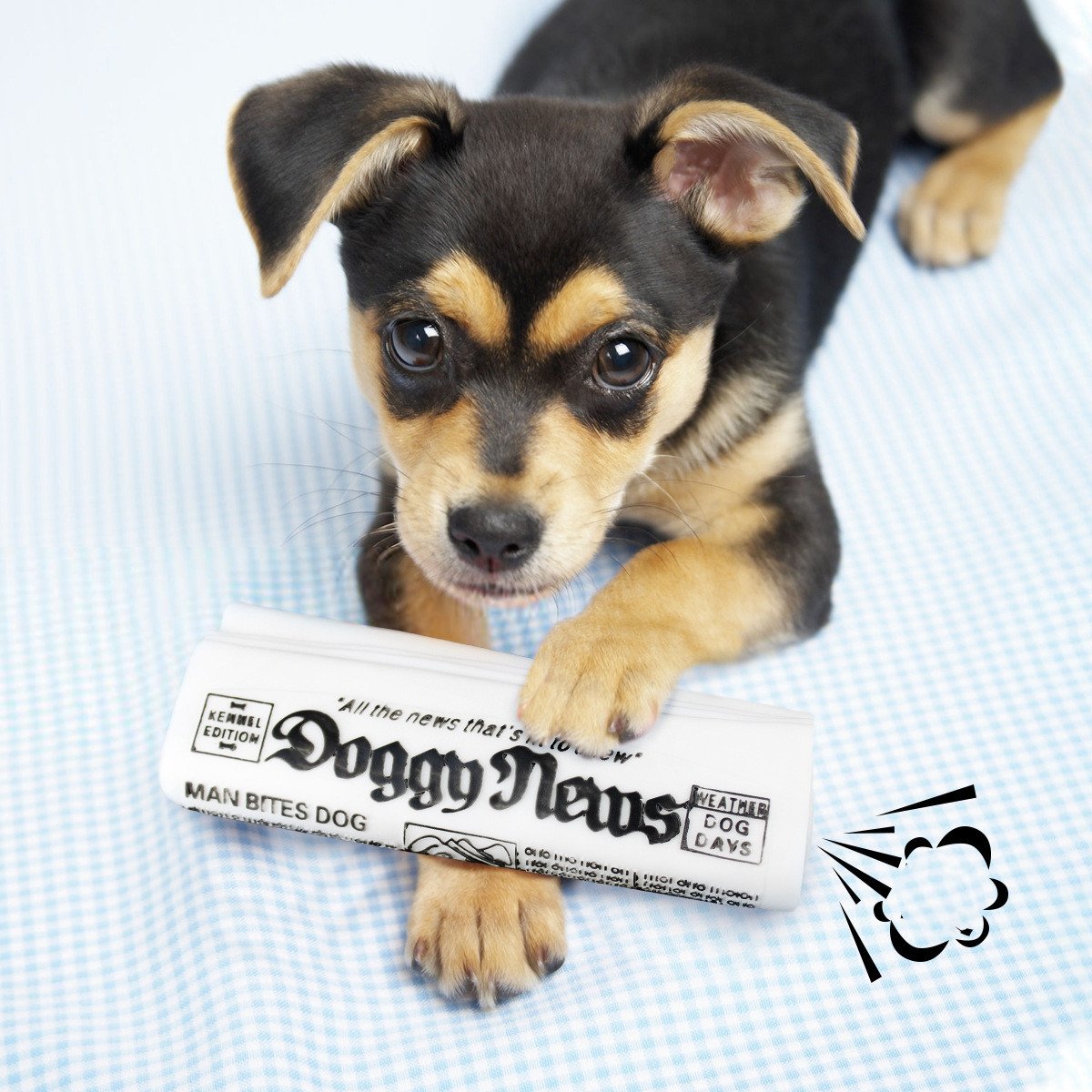 Squeaky Newspaper Dog Chew Toy – Canvas Training Toy