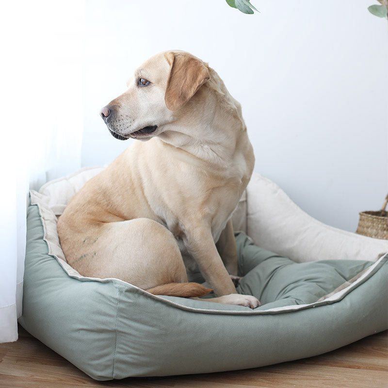 Dog sitting on a green pet bed in a room with a white wall and wooden floor.
