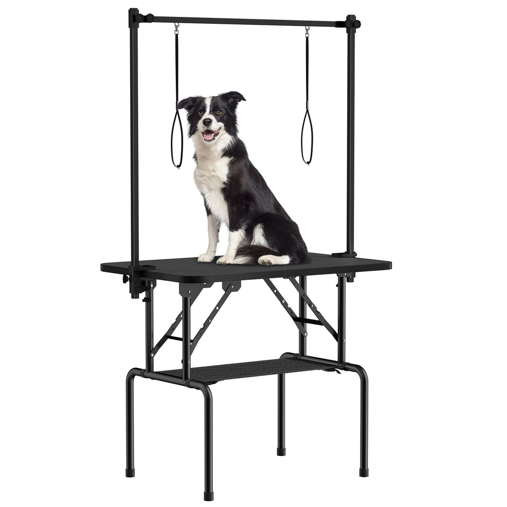 Dog sitting on a grooming table with a black background