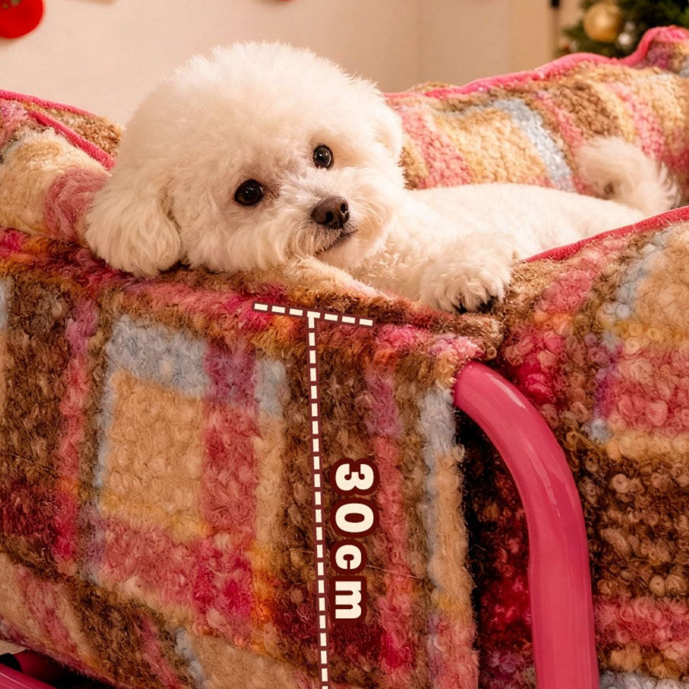 White dog on a colorful couch with Christmas stockings in the background