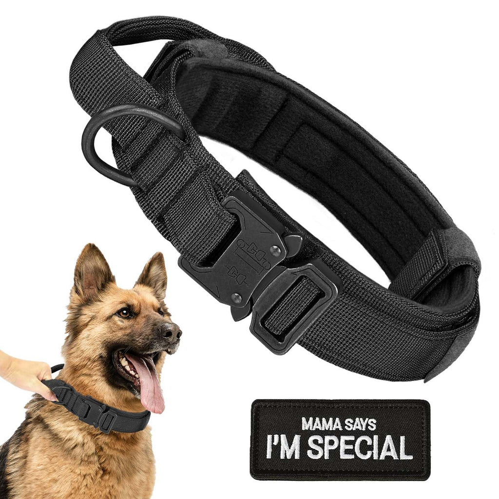Black dog collar with a patch on a white background