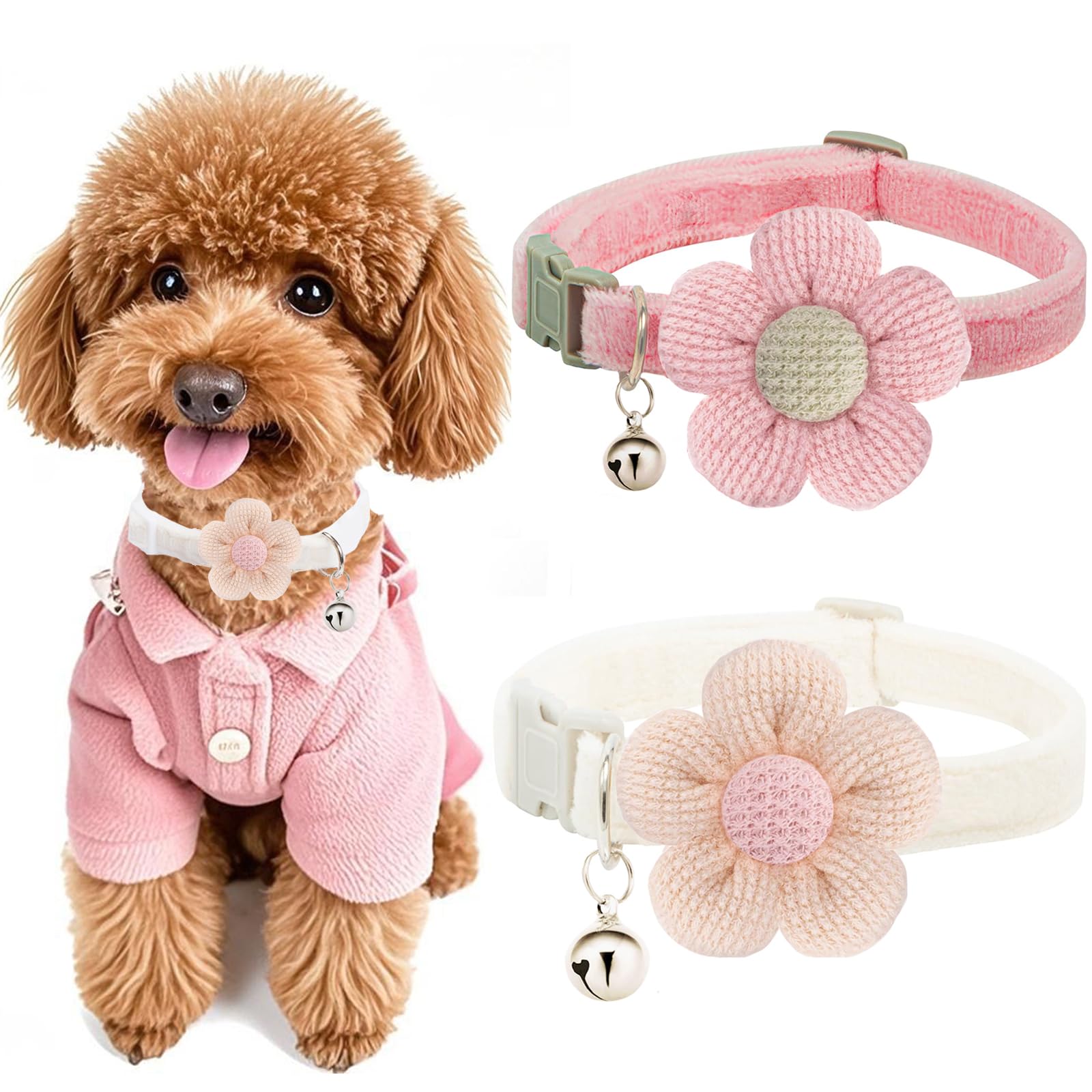 Dog wearing a pink outfit with two flower-shaped dog collars on a white background