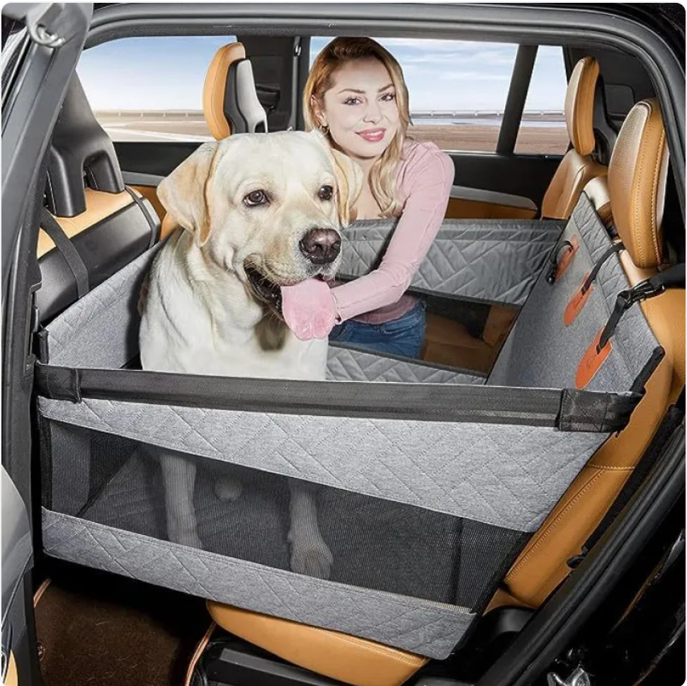 Dog in a car with a pet safety barrier, woman sitting next to it.