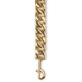 Gold chain with clasp on a white background