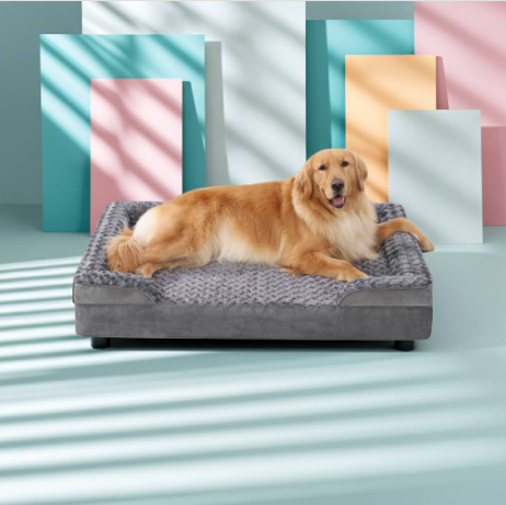 Dog lying on a gray orthopedic bed in a room with a large window.
